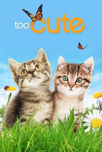 Too Cute – Season 3