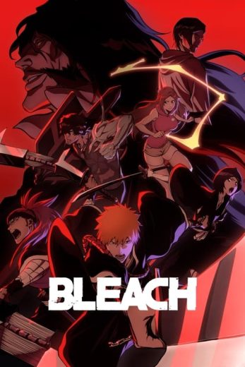 Bleach – Season 6