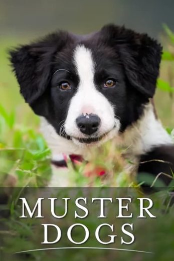 Muster Dogs – Season 1