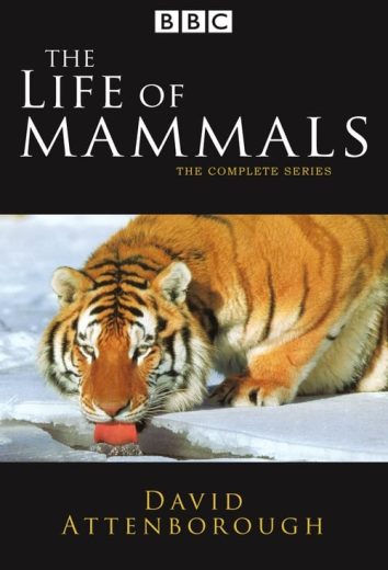 The Life of Mammals – Season 1