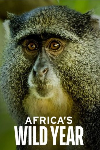 Africa’s Wild Year – Season 1