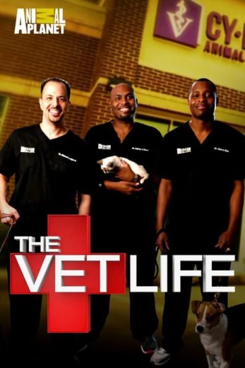 The Vet Life – Season 4