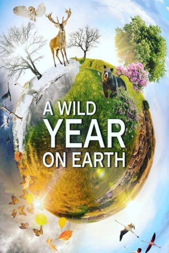 A Wild Year On Earth – Season 1