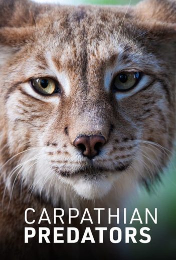 Carpathian Predators – Season 1