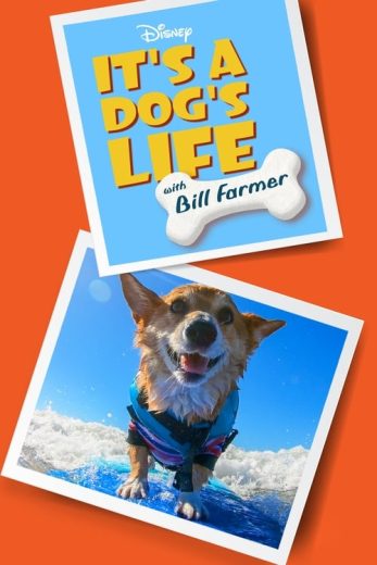 It’s a Dog’s Life with Bill Farmer – Season 1