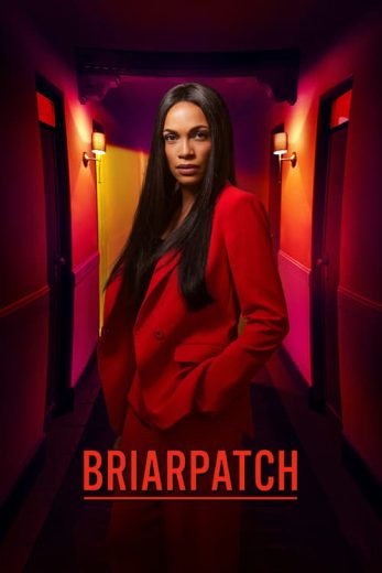 Briarpatch – Season 1