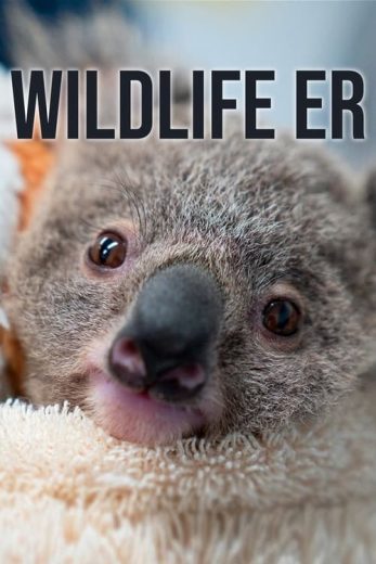 Wildlife ER – Season 1