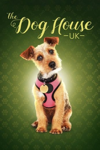 The Dog House – Season 3