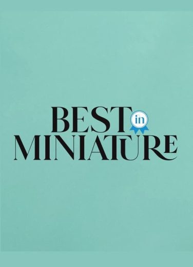 Best In Miniature – Season 1