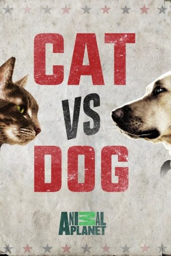 Cat vs. Dog – Season 1