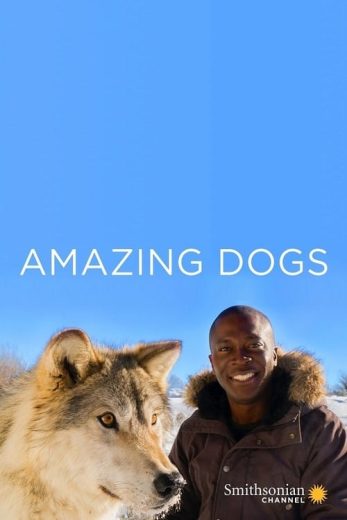 Amazing Dogs – Season 1