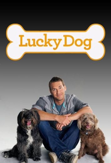 Lucky Dog – Season 3