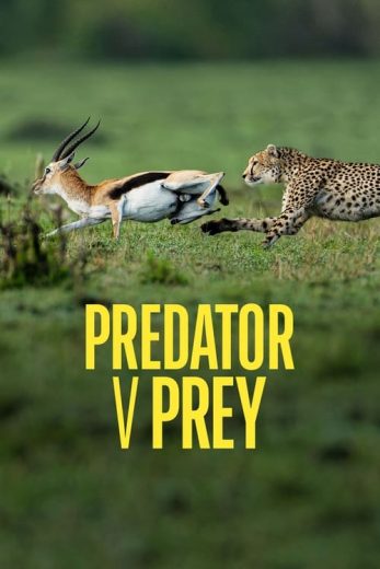 Predator v Prey – Season 1