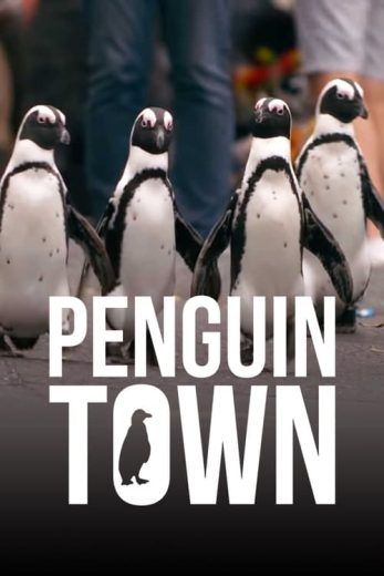 Penguin Town – Season 1