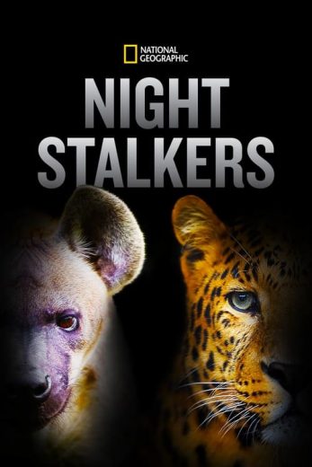 Night Stalkers – Season 1