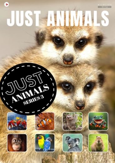 Just Animals – Season 1