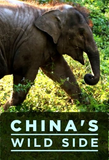 China’s Wild Side – Season 1