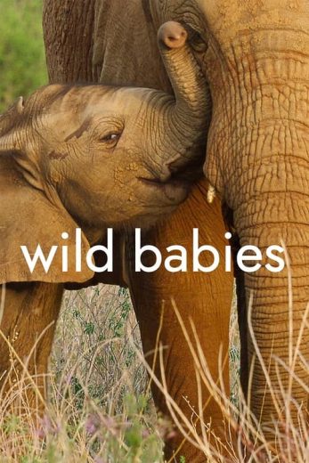 Wild Babies – Season 1