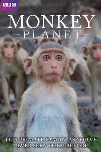 Monkey Planet – Season 1