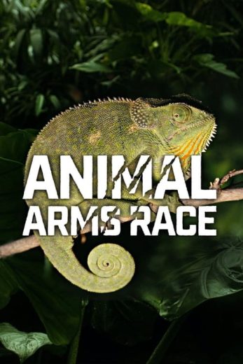 Animal Arms Race – Season 1