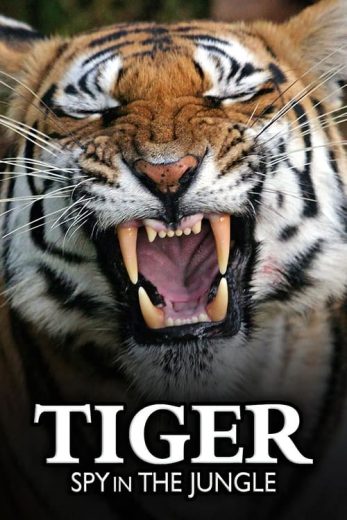 Tiger: Spy In The Jungle – Season 1