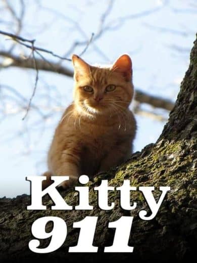 Kitty 911 – Season 1