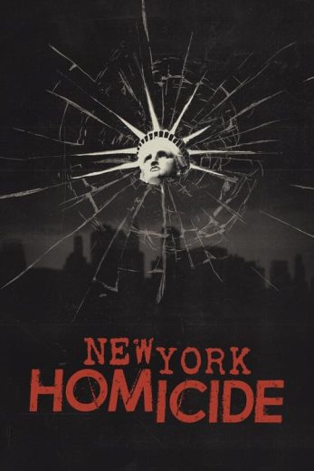 New York Homicide – Season 2