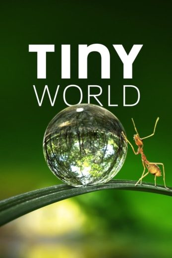 Tiny World – Season 2