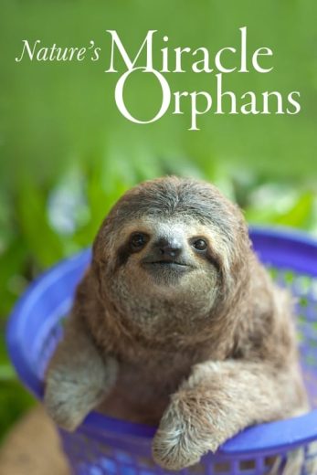 Nature’s Miracle Orphans – Season 2