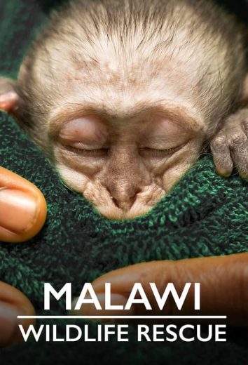 Malawi Wildlife Rescue – Season 1