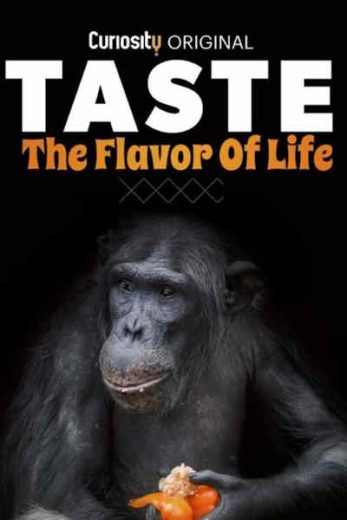 Taste: The Flavour of Life – Season 1